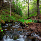 A stream flows through Mogilsa Forest close to Reykjavik, Iceland